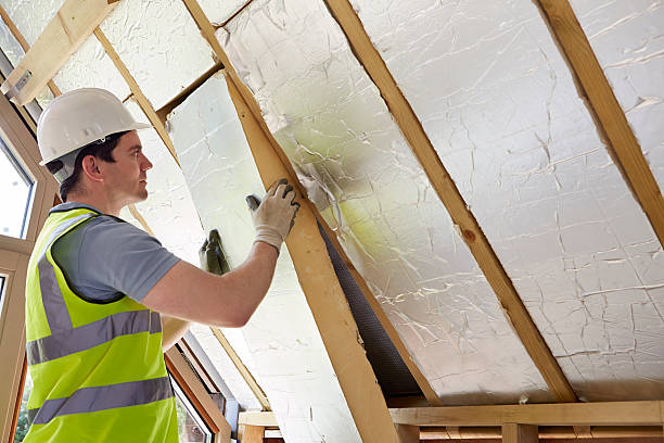 Professional Insulation Contractor in Highwood, IL